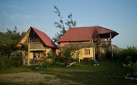 Palma Coco Ayampe