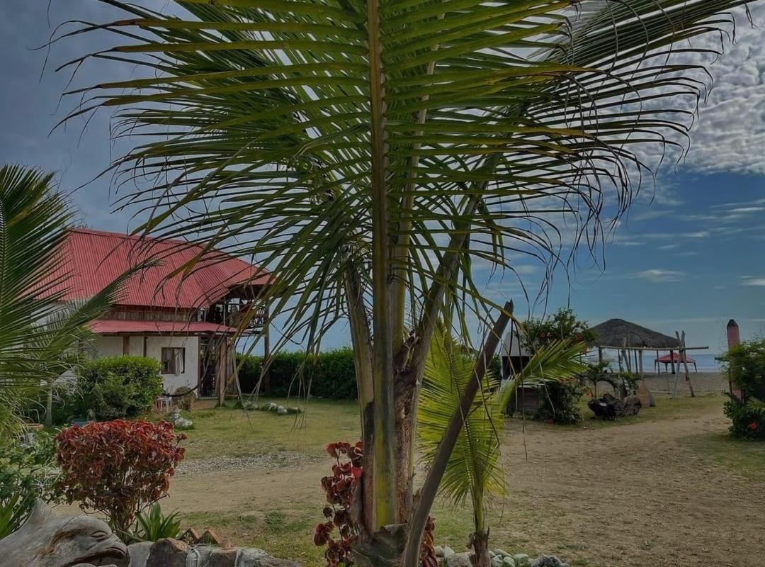 Palma Coco Ayampe Exterior photo